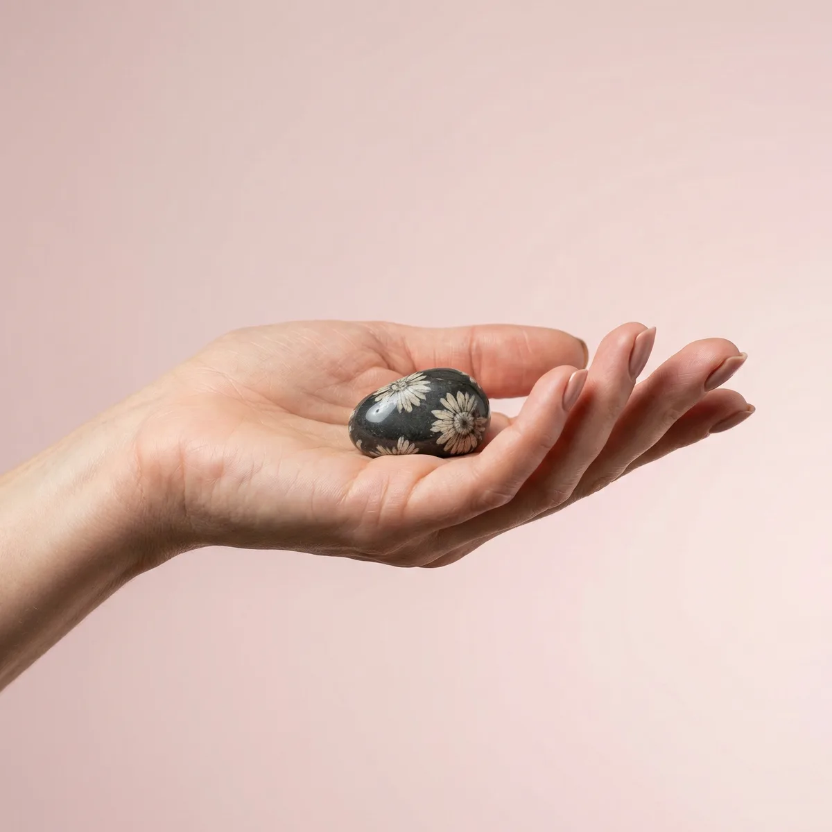 Chrysanthemum Stone Tumbled - chrysanthemum stone crystal
