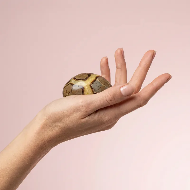 Septarian
